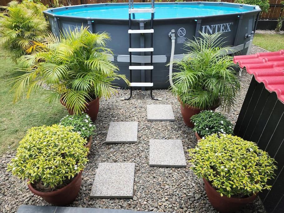 Maddy'S House Vila Maatea Exterior foto